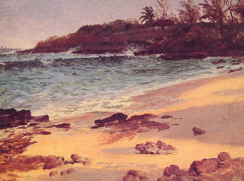 Albert Bierstadt Bahama Cove oil painting image